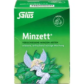 SALUS Minzett Kräutertee Bio Salus