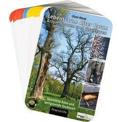Lebensraum Alter Baum – Arten, Spuren und Strukturen