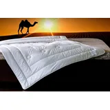 billerbeck Brilliant Uno 342 200 x 200 cm