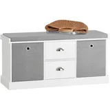 SoBuy FSR66 100 x 50 x 35 cm grau / grau
