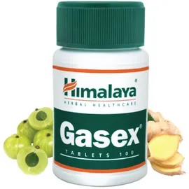 Himalaya Herbals Himalaya Gasex Kapseln 100 St.