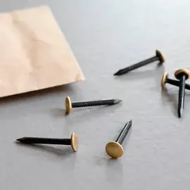 TOX Bildernagel Home Classic mit Messingkopf 2,0 x 25 mm 20 Stück