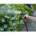 Black & Decker BLACK+DECKER Sprühdüse 6 Stufen
