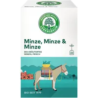 Lebensbaum Zeit für Erfrischung Teebeutel 20 x 1,5 g