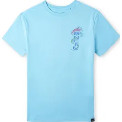 O'Neill Team O'neill T-shirt bachelor button (15046) 128