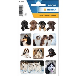 HERMA Aufkleber Hunde, 24 Etiketten