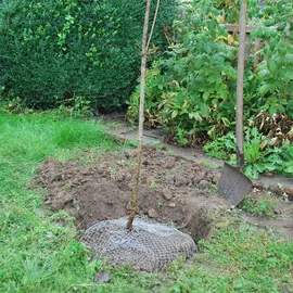 Kerbl Wühlmauskorb unverzinkt 40 cm