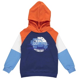 Fred ́s World by GREEN COTTON Hoodie in Blau - 134
