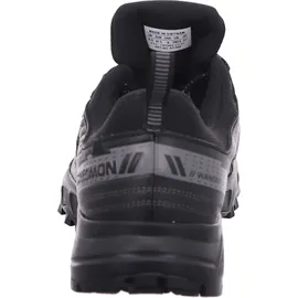 Salomon Wander GTX Herren Black/Pewter/Frost Gray 46