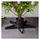 vidaXL Christbaumständer Schwarz 47x47x13,5 cm