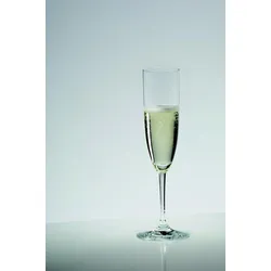Vinum - Champagner Glas  (1 Stück)