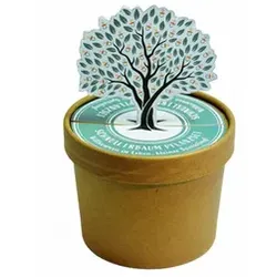 Wundertüte Schnullerbaum Pott WUNDERLE 41790