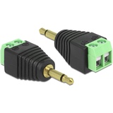 DeLock 3.5mm Klinke [Stecker] auf 2-Pin-Terminalblock Adapter (65528)