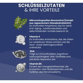 Biostile Resveratrol Kapseln 60 St.