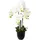 Creativ green künstliche Pflanze Phalaenopsis, 69cm