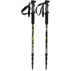 CMP Bern Trekking Poles titanio (U911) U