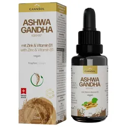 Ashwagandha MIT Zink & Vitamin B1 Tropfen z.Einn. 30 ml