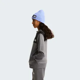 The North Face Reaxion Reißverschlusspullover - Smoked Pearl - 10 Jahre