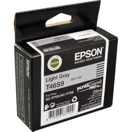Epson Tinte T46S9 UltraChrome Pro 10 grau hell (C13T46S900)
