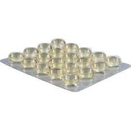 Dr. Loges Omega3-Loges pflanzlich Kapseln 60 St.