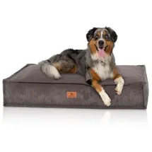 Knuffelwuff Hundekissen Lesedi 120 x 80 cm braun