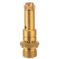 Riegler Sicherheitsventil DN 8, Messing, G 1/4, Ansprechdruck 14