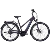 Pegasus Solero Evo 9 500 Wh Damen Trapez lila 2024, 28" - 55 cm