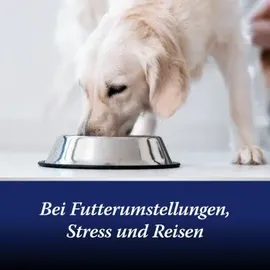 ARDAP Canosept Darmflora Tabletten F.hunde