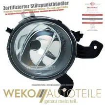 Diederichs Nebelscheinwerfer 1005088