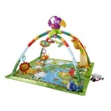 Fisher-Price GXC35 Baby Erlebnisdecke, & Spielmatte Stoff, Kunststoff Mehrfarbig Babyspielmatte