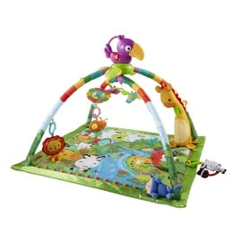 Fisher-Price GXC35 Baby Erlebnisdecke, & Spielmatte Stoff, Kunststoff Mehrfarbig Babyspielmatte