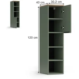 Vicco Wido Aktenschrank 30,2 x 120 x 40 cm Grün/Sonoma