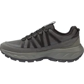 Jack Wolfskin Herren Wild Hike Texapore Low Schuhe (Größe 42,