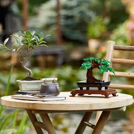 LEGO Botanicals Bonsai Baum 10281