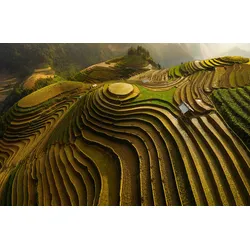 Fototapete PAPERMOON "ĐAO TẤN PHAT, MU CANG CHAI - VIETNAM", bunt (mehrfarbig), B:3,50m L:2,60m, Vlies, Tapeten, Vliestapete, hochwertiger Digitaldruck, inklusive Kleister