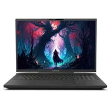 Captiva Highend Gaming I87-256CH 17,3" Core i9-14900HX 64 GB RAM 1 TB SSD RTX 4070