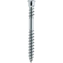 Eurotec Schraube Terrassotec geh. DIN10088 5,5x 70mm T25