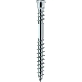 Eurotec Schraube Terrassotec geh. DIN10088 5,5x 70mm T25