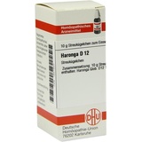 DHU-Arzneimittel Haronga D12