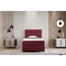 panda möbel Boxspringbett 100x200, mit Bettkast und Topper - rot