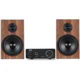 Braune Micro HiFi Stereoanlage mit Aluminium Verstärker für Musikgenuss Zuhause