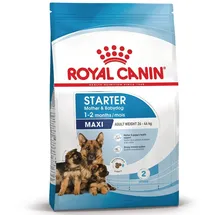 Royal Canin Maxi Starter 4 kg