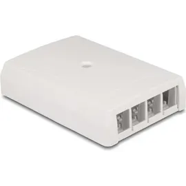 DeLock Keystone Leergehäuse Aufputz 4 Port für Glasfaser und Netzwerk