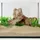 Schicker Mineral Aquarienkies beige 25 kg