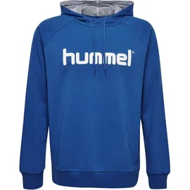 hummel Go Kids Cotton Logo Hoodie (203512)
