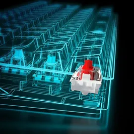 Sharkoon SGK50 S4 - Tastatur - Hintergrundbeleuchtung