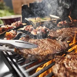 Weber Genesis EPX-335W GBS Smarter Gasgrill 2026 Schwarz