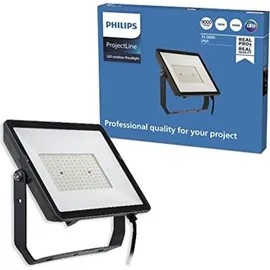 Philips Flutlicht Projectline 100 W 3.000 K IP65