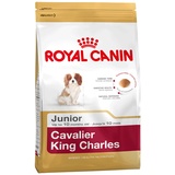 Royal Canin Cavalier King Charles Junior 1,5 kg