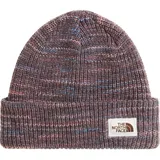 The North Face Salty BAE Lined Beanie garnet (2H9) OS